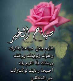 ابوشاكر, 42 سنة, رجل