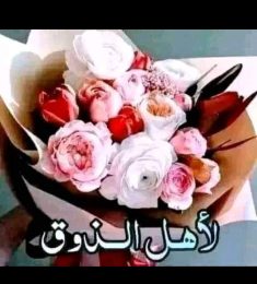 احمد, 47 سنة, النساء