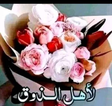 احمد, 47 سنة, Matay, Egypt