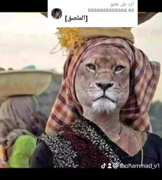 Mohammad, 45 سنة, رجل