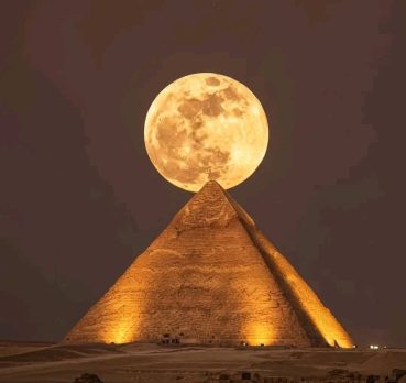 بلبل, 37 سنة, Riyadh, Saudi Arabia