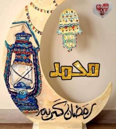 mohamed, 28 سنة, رجل