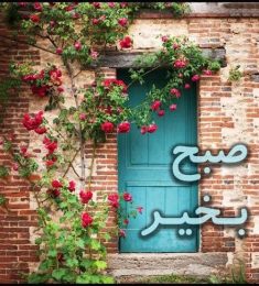 عبد اللطيف, 79 سنة, رجل