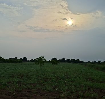 مونف, 19 سنة, Koping, Sweden