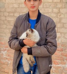 Abdul Ghaffar, 23 سنة, رجل